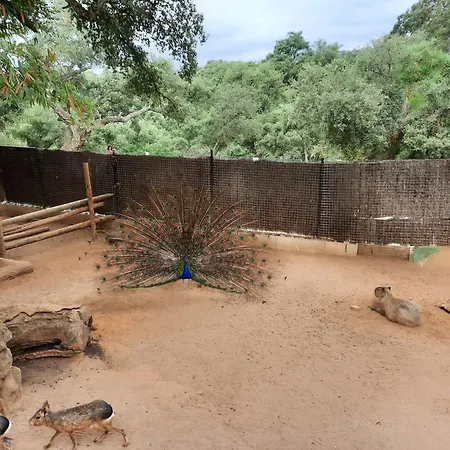 Casa De Mar Small Oasis